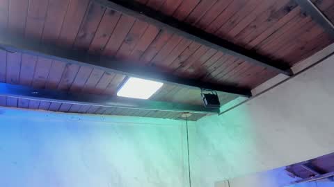 Snapshot of caroline_palmerr chatting on 02-01-26, 03:27 Carolina online show from 02-01-26, 03:27