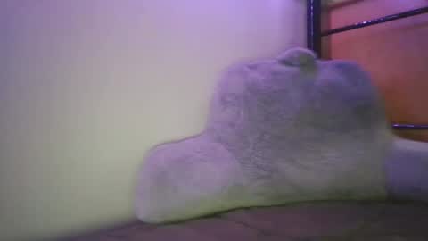 Snapshot of caseyjoexo chatting on 02-05-26, 03:00 Casey Joe online show from 02-05-26, 03:00