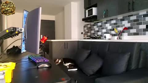 Snapshot of cash_master777 chatting on 05-21-26, 01:07 cash_master777 online show from 05-21-26, 01:07