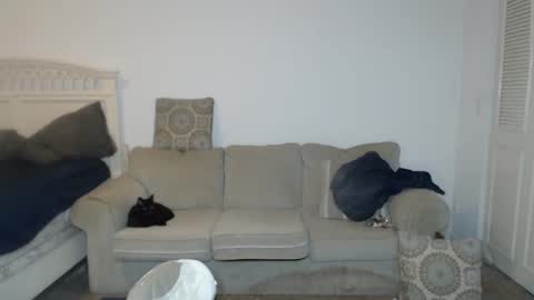 Snapshot of casinocam chatting on 02-18-25, 05:09 CasinoCam online show from 02-18-25, 05:09