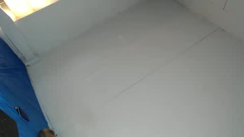 Snapshot of cassandra_delighty chatting on 02-23-25, 08:39 cassie online show from 02-23-25, 08:39