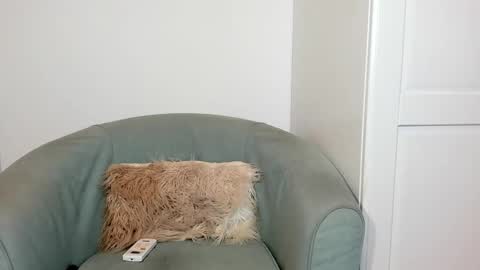 cassiecute - onlyfans account online show from 03-17-26, 11:13