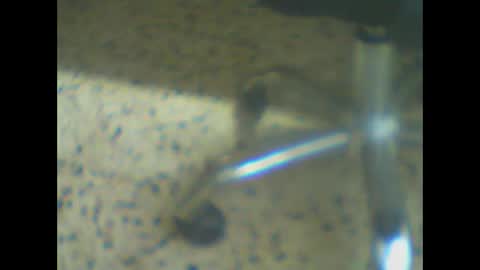 castells online show from 03-24-26, 05:18