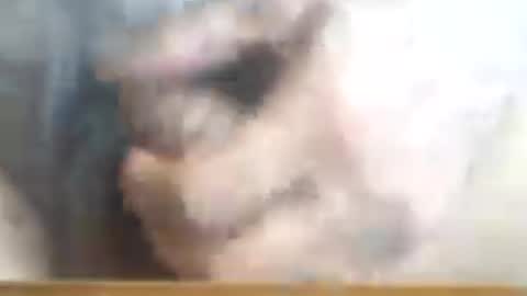 castells online show from 06-16-26, 03:25