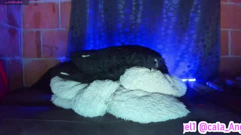 Snapshot of cata_angel1 chatting on 04-28-26, 12:09 Cata Angel online show from 04-28-26, 12:09