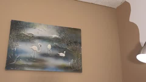 cata_cat1 online show from 07-10-26, 08:33