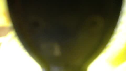 Snapshot of catalina201 chatting on 06-13-26, 02:09 catalina201 online show from 06-13-26, 02:09