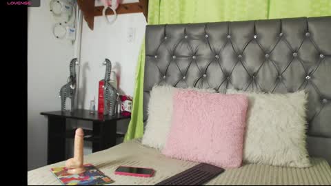 Snapshot of catalina_ada chatting on 01-13-25, 07:31 catalina ada online show from 01-13-25, 07:31