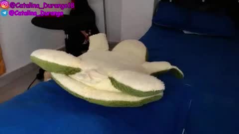 Catalina Durango  online show from 11-22-25, 09:36