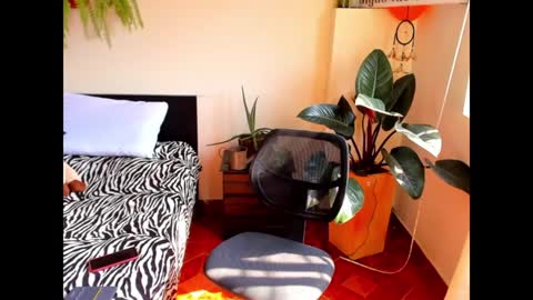 Cataina Lince online show from 12-09-24, 07:07