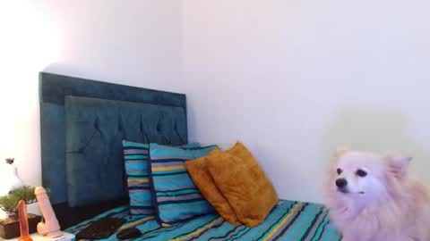 Snapshot of cedrixx10 chatting on 11-11-25, 10:32 Cedrixx10 online show from 11-11-25, 10:32