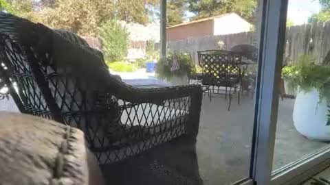 Ceeingu online show from 07-15-26, 11:54