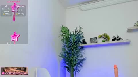 Celeste  online show from 01-21-25, 05:41