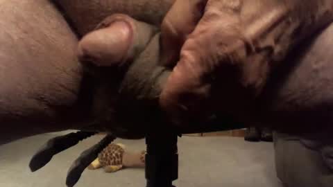 Snapshot of centaur629 chatting on 02-13-26, 02:40 centaur629 online show from 02-13-26, 02:40