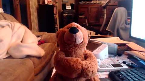 chacoa online show from 02-16-26, 04:36