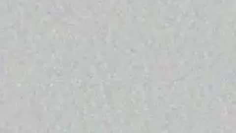 oilmeup online show from 04-06-26, 07:42