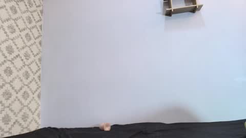 Raquel  online show from 03-10-25, 03:09