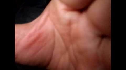 1 online show from 12-13-24, 04:54