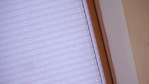 Sofia online show from 04-21-26, 01:42