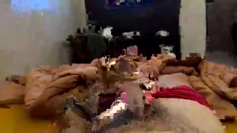 Snapshot of chasejase20333 chatting on 02-02-26, 02:10 chasejase20333 online show from 02-02-26, 02:10