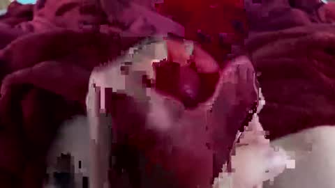 cheeseisnts online show from 01-09-26, 09:38