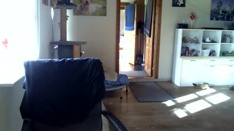 chefben666 online show from 10-16-25, 10:27