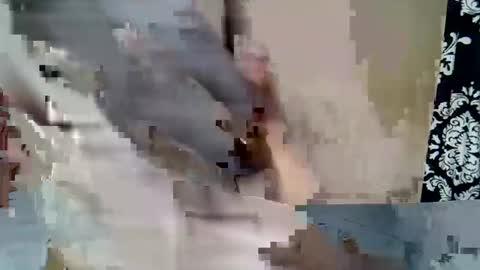 Keve Meddy online show from 02-23-26, 06:38