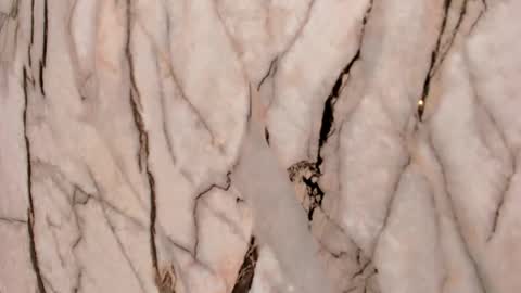 Emma  online show from 11-22-25, 11:31