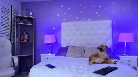 Sussan Cherry  online show from 02-01-25, 04:24