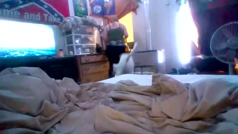 cherrybomb454 online show from 02-16-26, 05:31