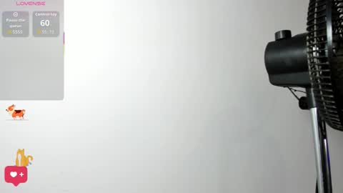 Samy Perez online show from 02-22-26, 07:23