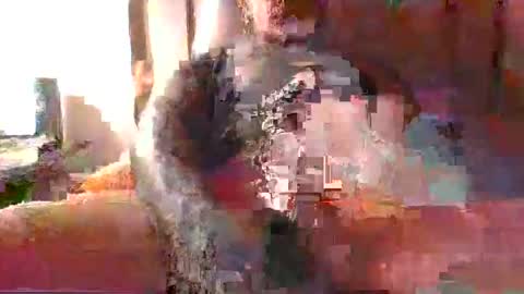 Snapshot of chikoink43 chatting on 12-31-24, 05:22 chikoink43 online show from 12-31-24, 05:22