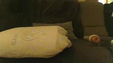 Snapshot of china_murphy chatting on 12-14-24, 04:09 Murphy-China online show from 12-14-24, 04:09