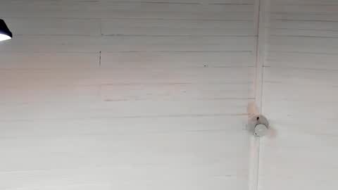 Chriz online show from 12-05-24, 05:37