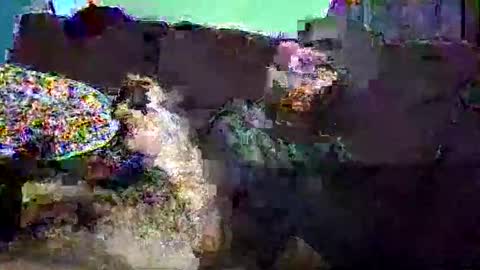 christopher1087 online show from 03-03-26, 07:58