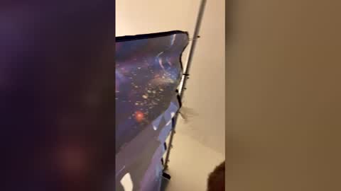 Mommy milf online show from 04-06-26, 03:26