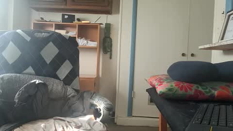 chuck7891 online show from 10-22-25, 02:50