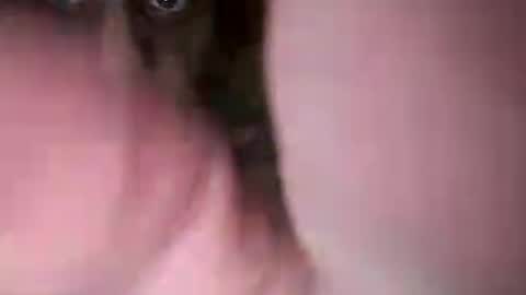 chuckied6969 online show from 07-22-26, 03:04