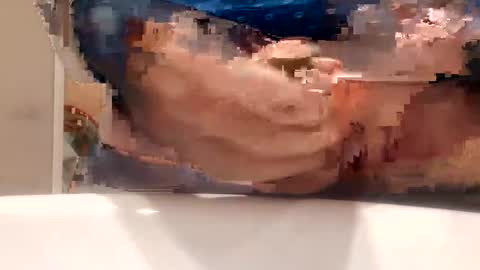 chule63 online show from 01-25-25, 09:47