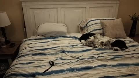 KingDing online show from 10-10-25, 07:40