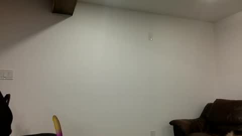 Clarke Cock online show from 03-21-26, 11:15