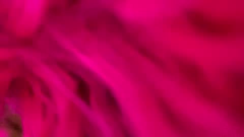 Snapshot of clarkshammer95 chatting on 03-03-25, 09:26 clarkshammer95 online show from 03-03-25, 09:26