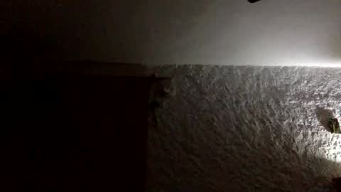 Snapshot of claudi779 chatting on 01-11-26, 08:03 claudi779 online show from 01-11-26, 08:03