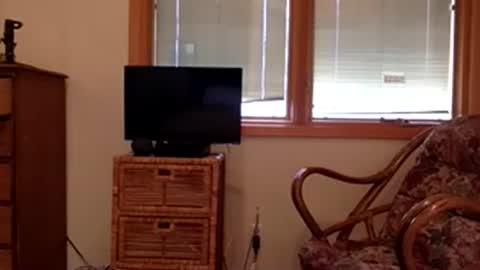 Code By Nova online show from 11-08-25, 07:56