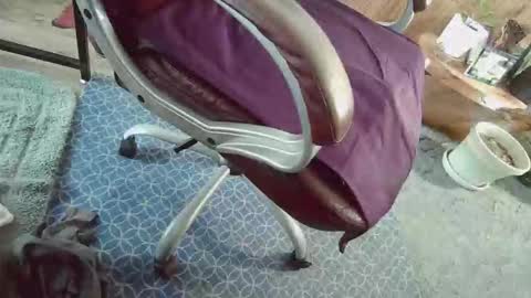 Snapshot of cody81421 chatting on 01-12-26, 02:22 cody81421 online show from 01-12-26, 02:22