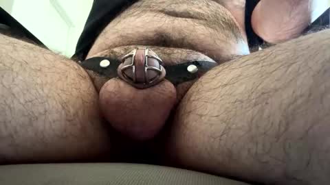 coldmobil3 online show from 11-10-25, 07:24