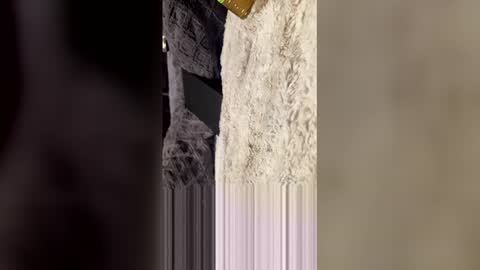 comeongirlts online show from 04-27-26, 04:21