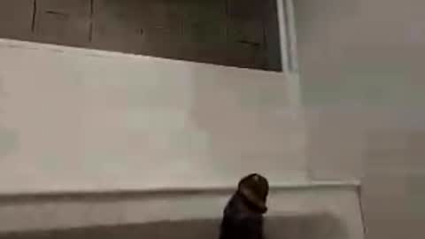 concretehard1 online show from 07-10-26, 12:15