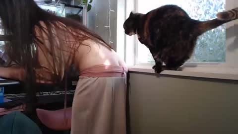 Snapshot of constantcumquest chatting on 09-26-25, 08:24 ANR Mommy online show from 09-26-25, 08:24