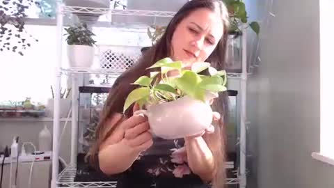 Snapshot of constantcumquest chatting on 10-04-25, 04:27 ANR Mommy online show from 10-04-25, 04:27